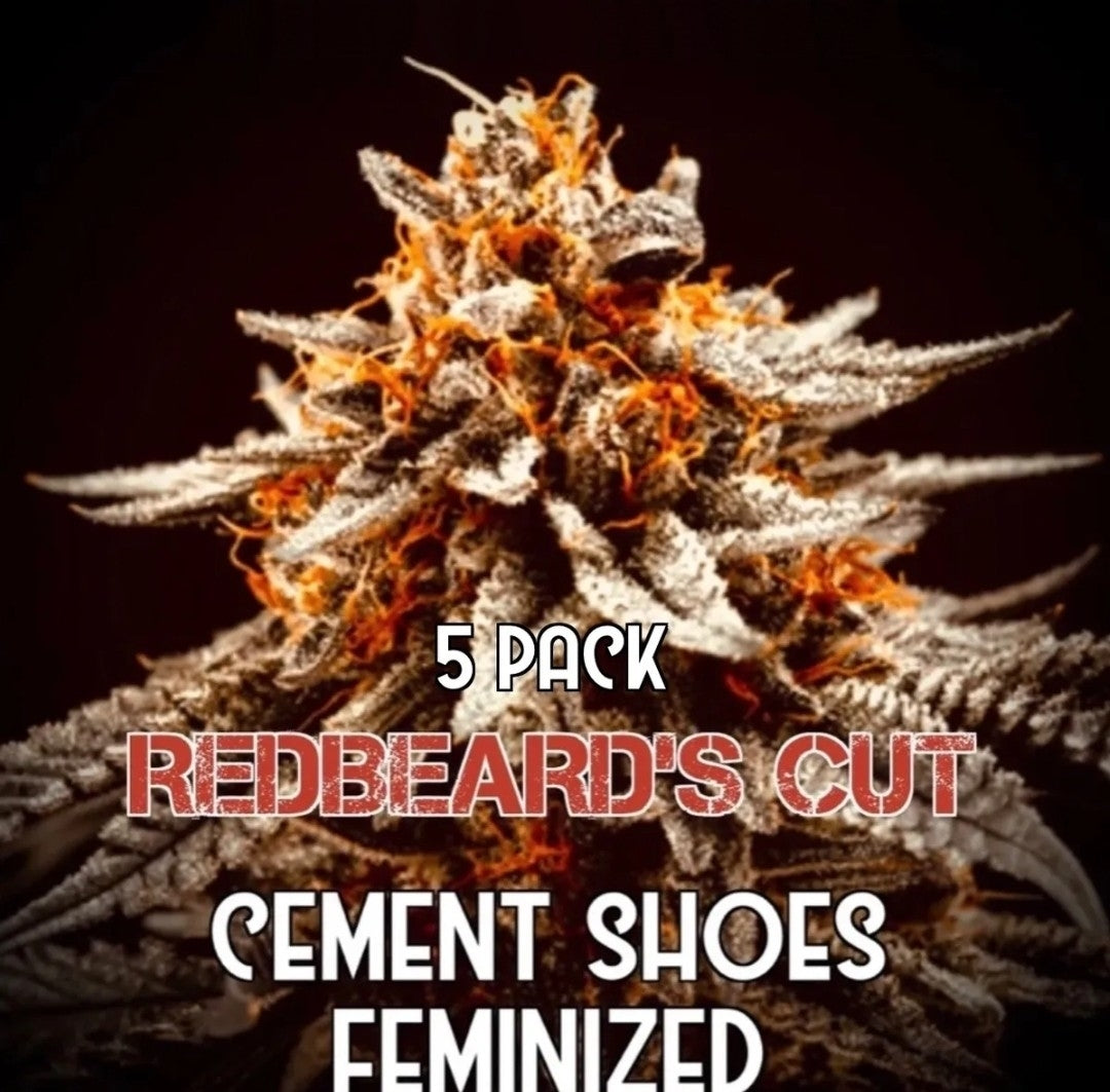 Redbeard's Cut: Cement Shoes (Feminized)