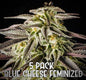 Blue Cheese (Feminized)