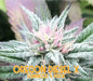 Oregon Diesel X (Feminized)