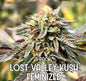 Lost Valley Kush: Limited Edition (Feminized)