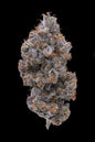 Bubba Gelato Feminized (5 pack)