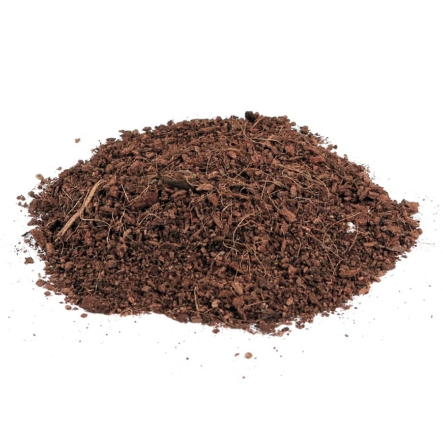 Root Royale Coco Brick RHP Certified 5KG