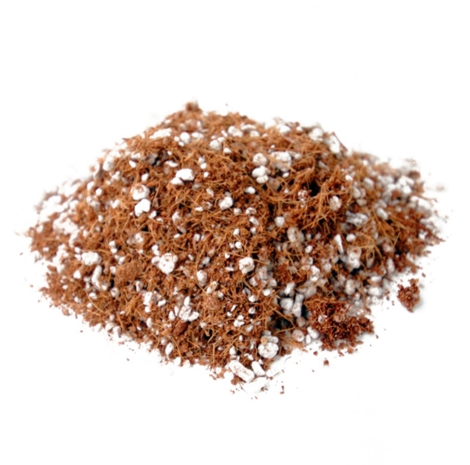 Root Royale Coco/Perlite Mix 50L RHP Certified