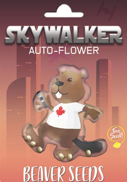 Skywalker Autoflower Marijuana Seeds