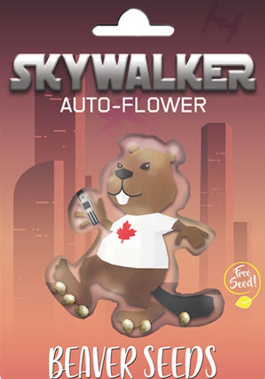 Skywalker Autoflower Marijuana Seeds