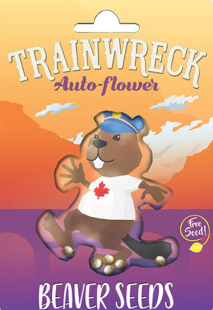 Train Wreck Autoflower Marijuana Seeds