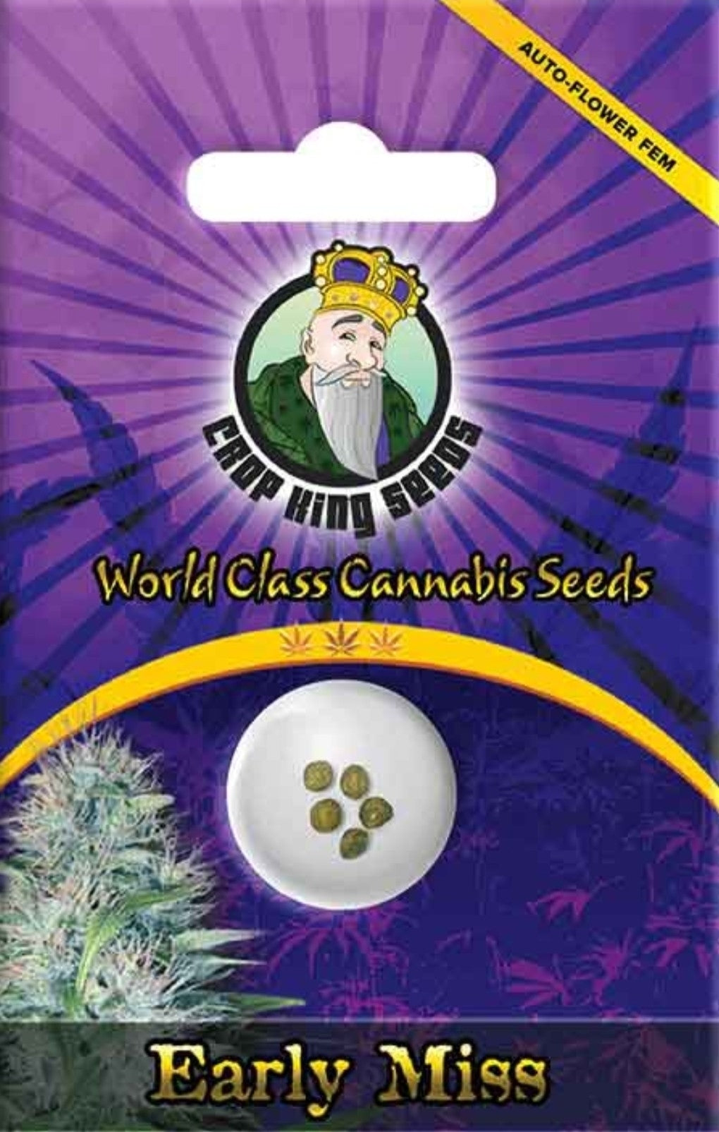 Early Miss Autoflowering Marijuana Seeds