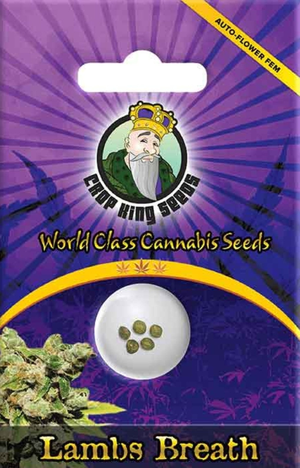 Lambs Breath Autoflower Seeds