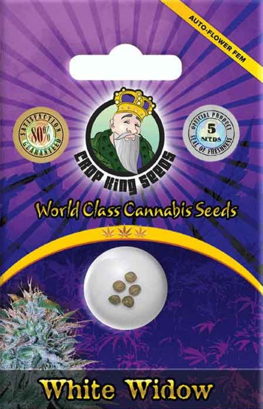 White Widow Autoflower Seeds