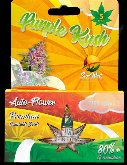 Purple Kush Autoflower Seeds