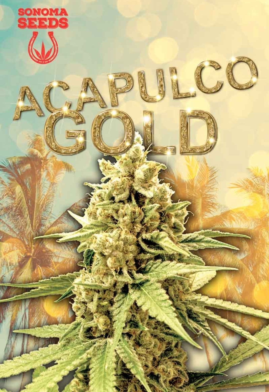 Acapulco Gold Feminized Seeds