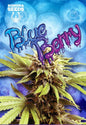 Blue Berry OG Feminized Seeds