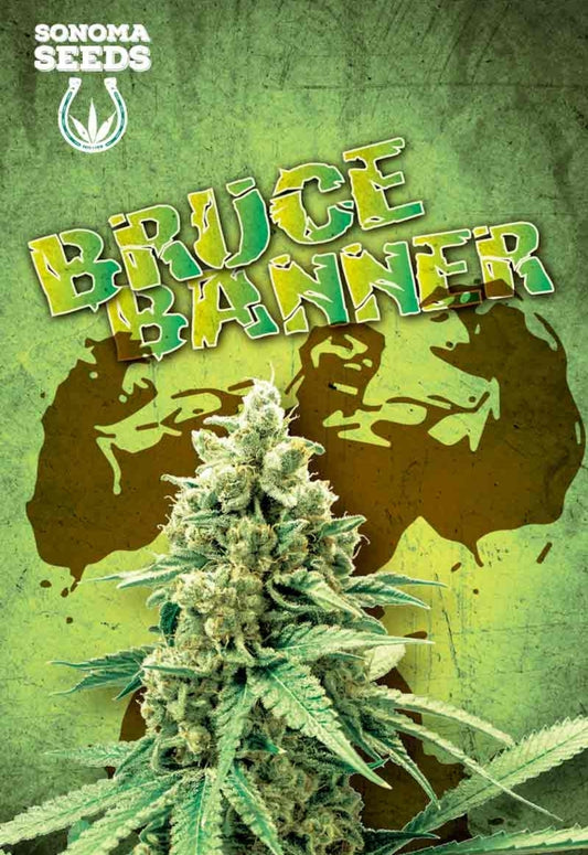 Bruce Banner Feminized Seeds