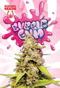 Bubblegum Feminized Seeds