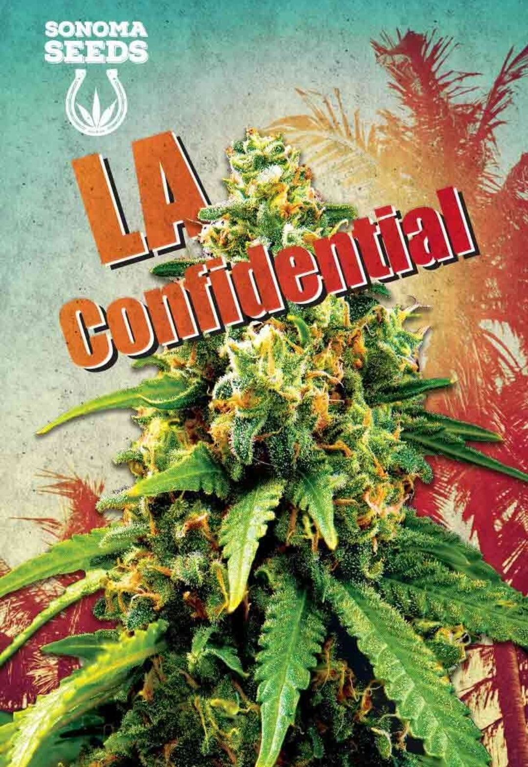 LA Confidential Feminized Seeds