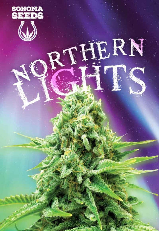 Northern Lights Feminized Seeds