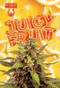 Juicy Fruit Autoflowering Marijuana Seeds